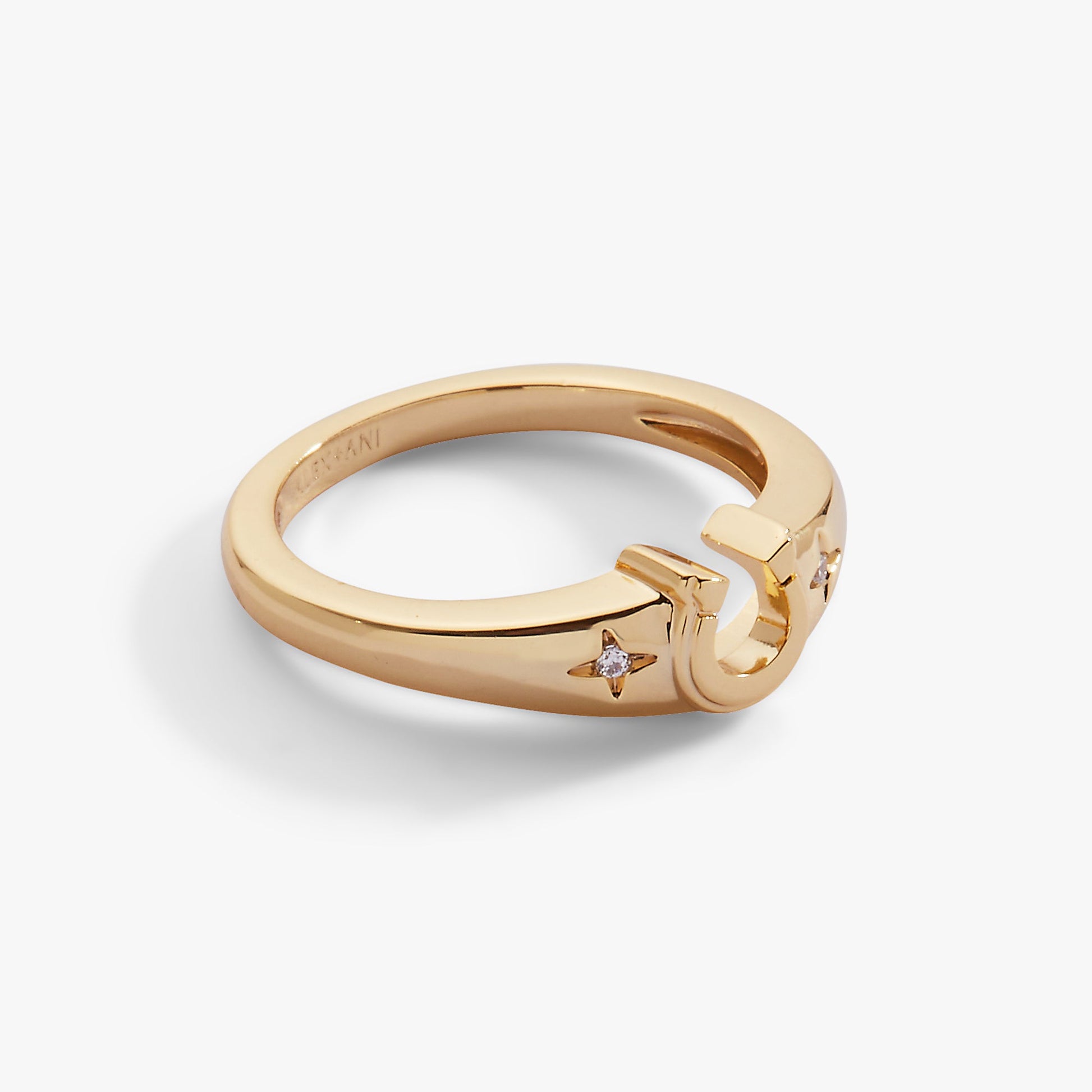 Lucky Horseshoe Ring ALEX AND ANI