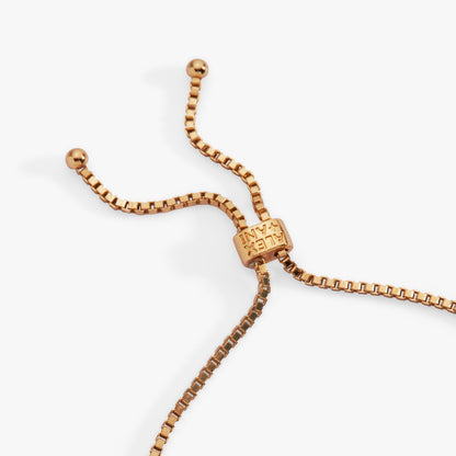 Lucky Symbol Bolo Bracelet ALEX AND ANI