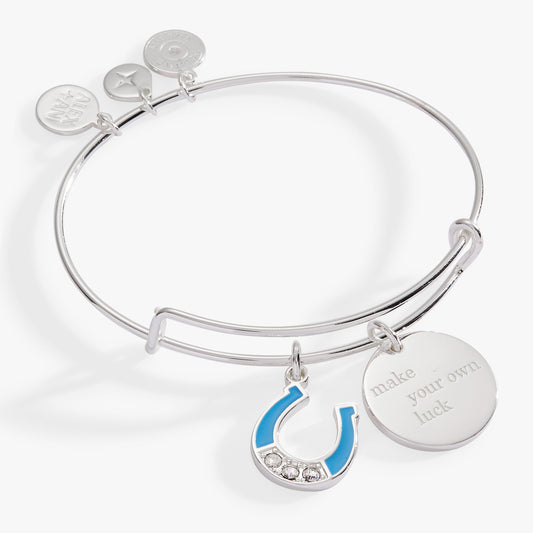 “Make Your Own Luck” Duo Charm Bangle ALEX AND ANI