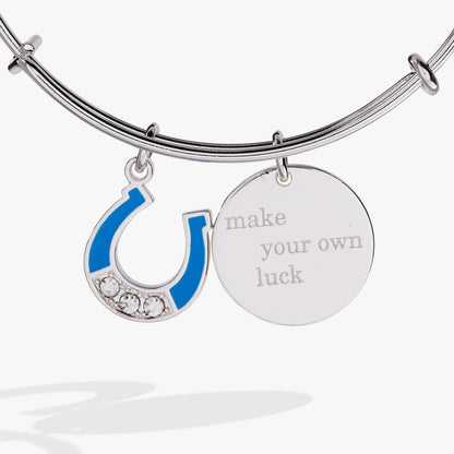 “Make Your Own Luck” Duo Charm Bangle ALEX AND ANI