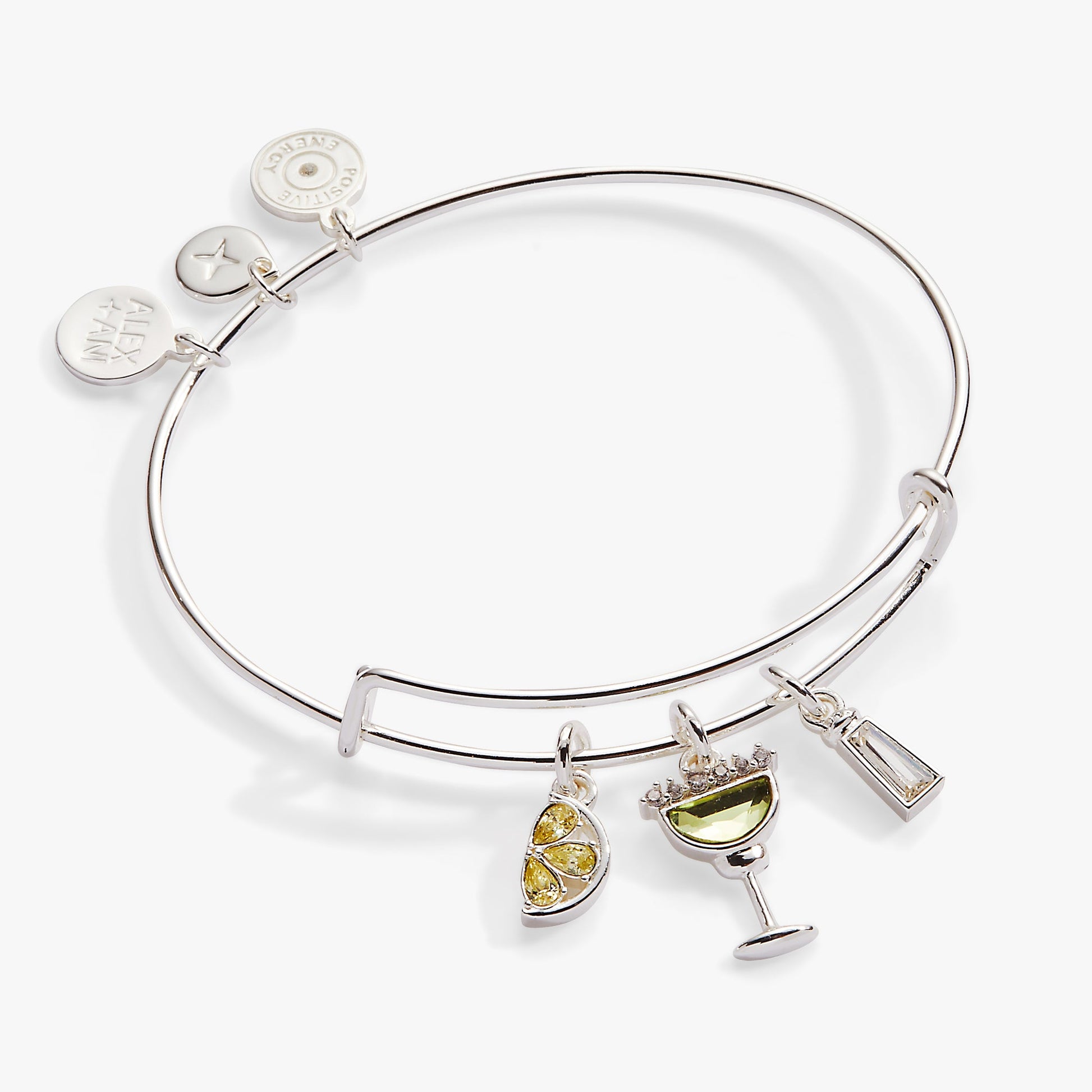 Margarita Charm Bangle ALEX AND ANI