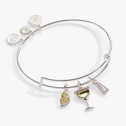 Margarita Charm Bangle ALEX AND ANI