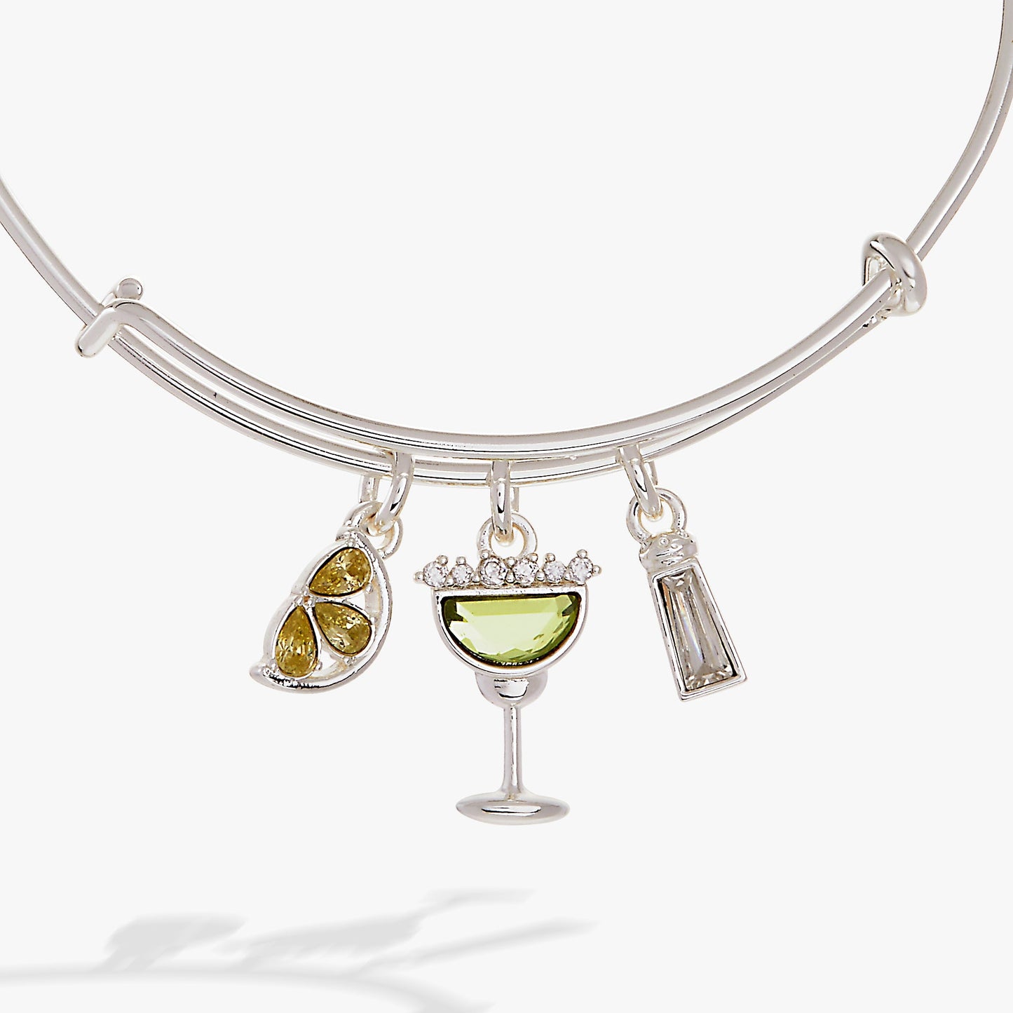 Margarita Charm Bangle ALEX AND ANI