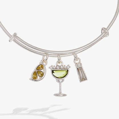 Margarita Charm Bangle ALEX AND ANI