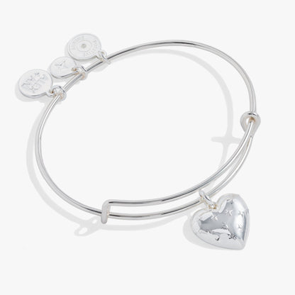 Silver Metal Heart Charm Bangle ALEX AND ANI