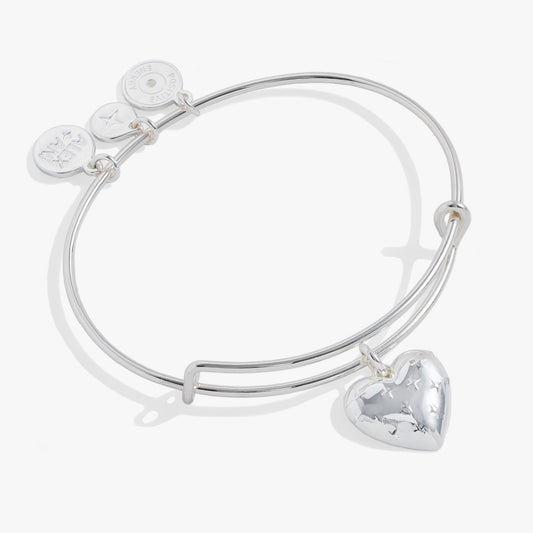Silver Metal Heart Charm Bangle ALEX AND ANI