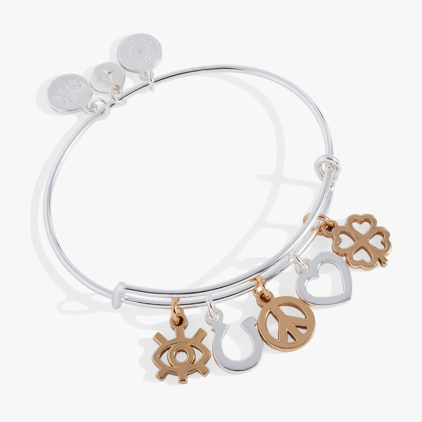 Mixed Symbol Multi-Charm Bangle ALEX AND ANI