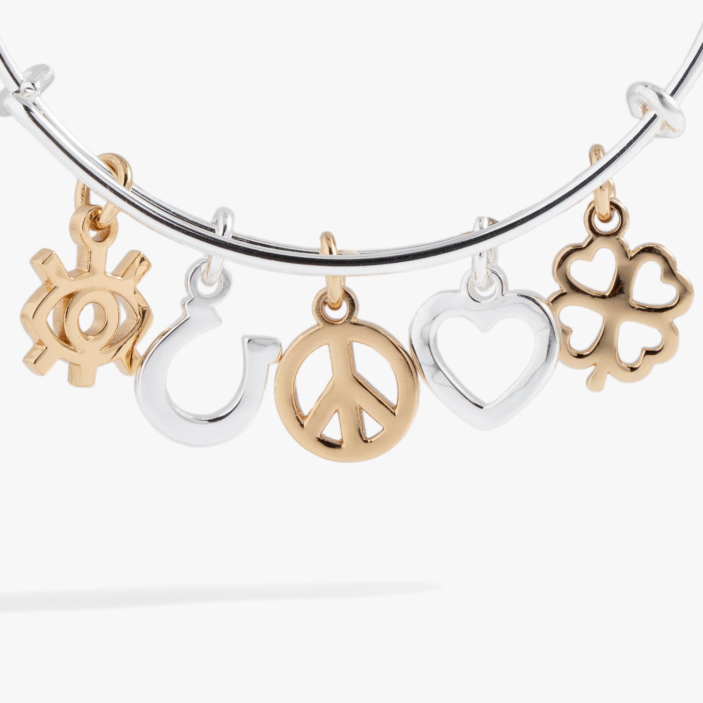 Mixed Symbol Multi-Charm Bangle ALEX AND ANI