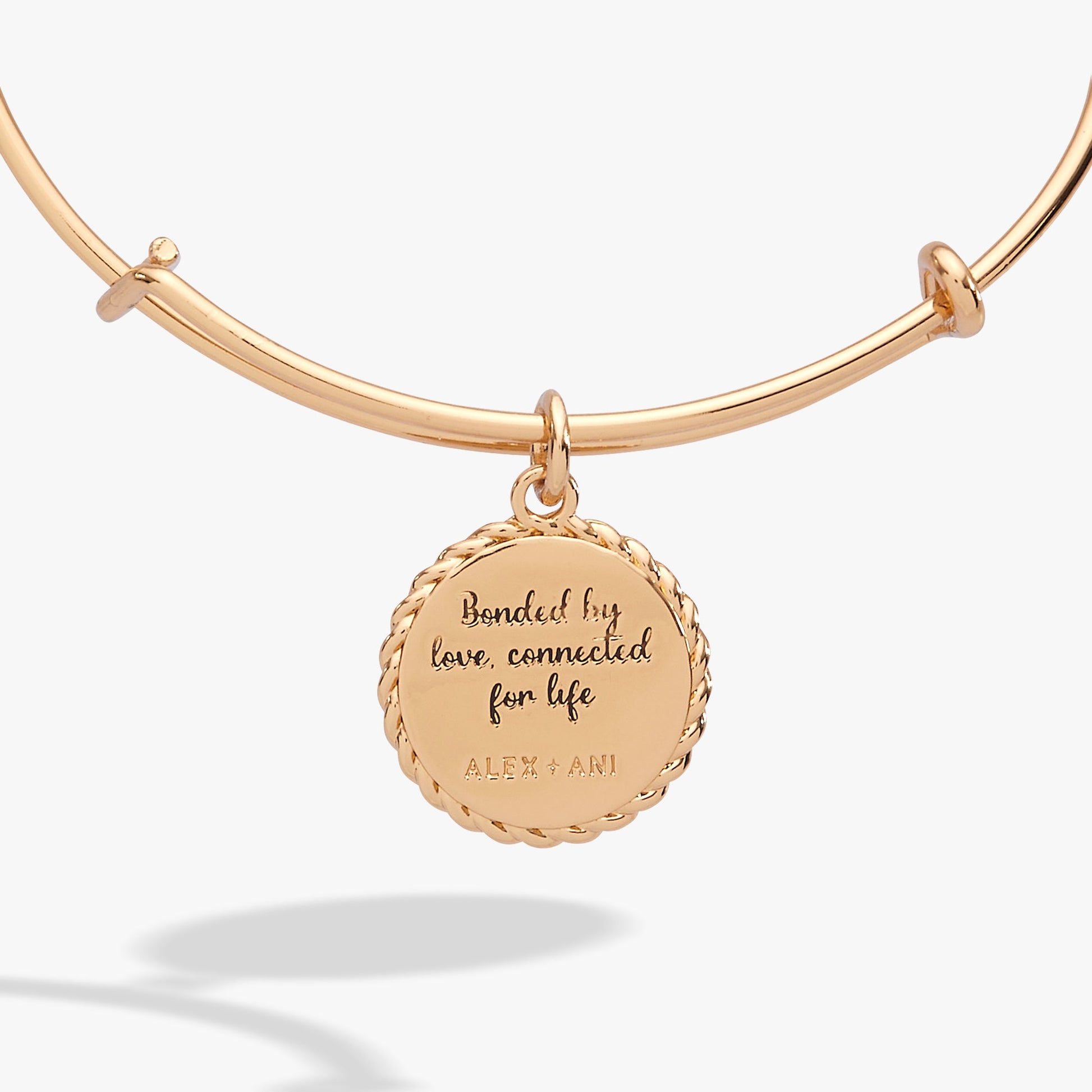 Mom 'Bonded By Love, Connected For Life' Charm Bangle ALEX AND ANI