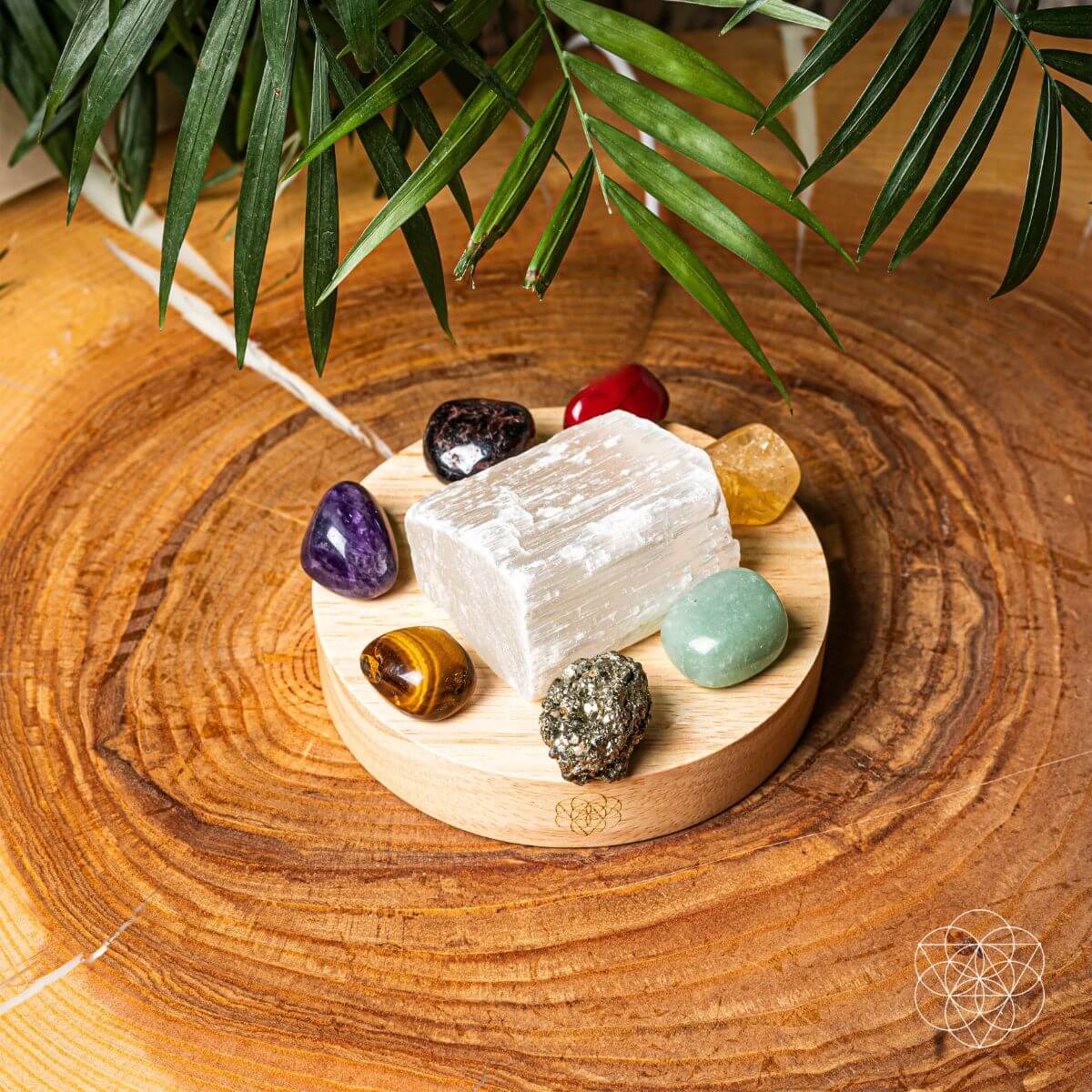 Money-Magnet Lamp Conscious Items