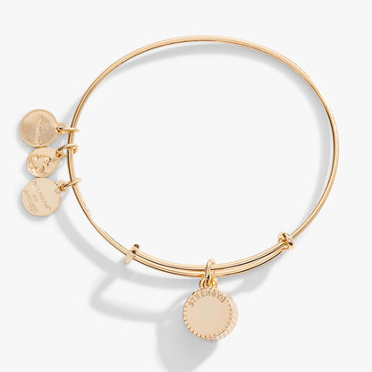 November Birthstone Charm Bangle, Topaz ALEX AND ANI