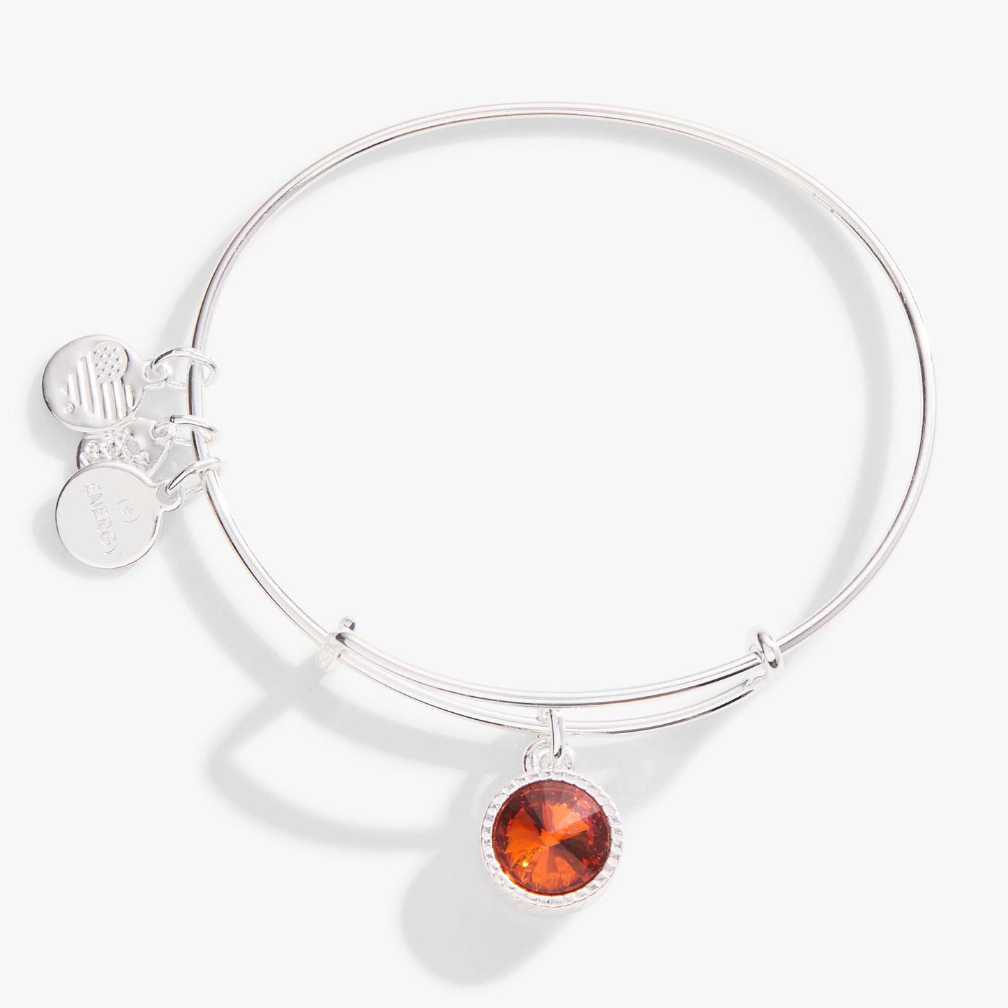 November Birthstone Charm Bangle, Topaz ALEX AND ANI