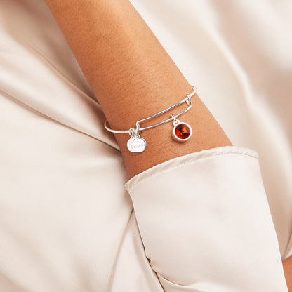 November Birthstone Charm Bangle, Topaz ALEX AND ANI