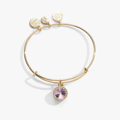 October Birthstone Charm Bangle, Rose ALEX AND ANI
