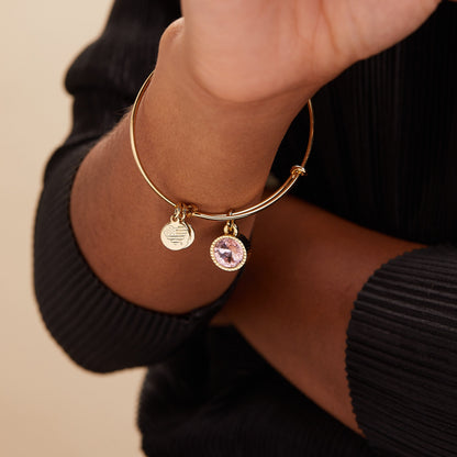 October Birthstone Charm Bangle, Rose ALEX AND ANI