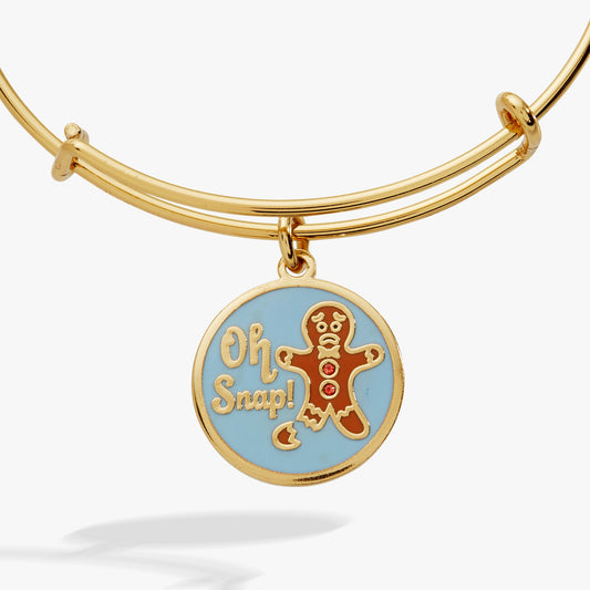 'Oh Snap!' Gingerbread Charm Bangle ALEX AND ANI