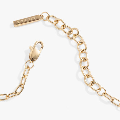Everyday Paperclip Chain Bracelet ALEX AND ANI