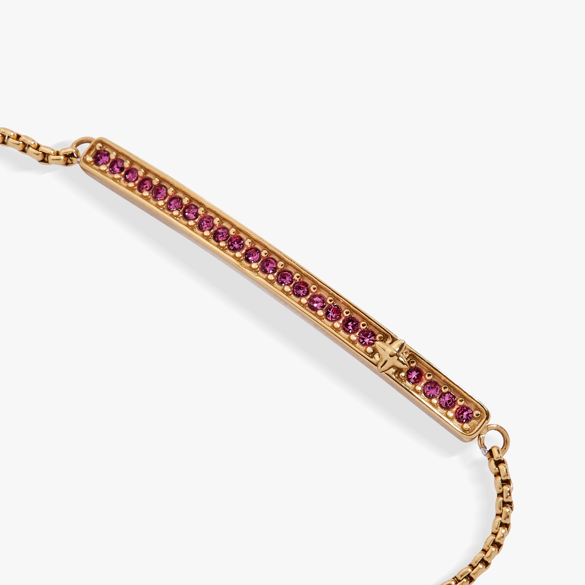 February Everyday Birthstone Pave Bolo Bracelet ALEX AND ANI