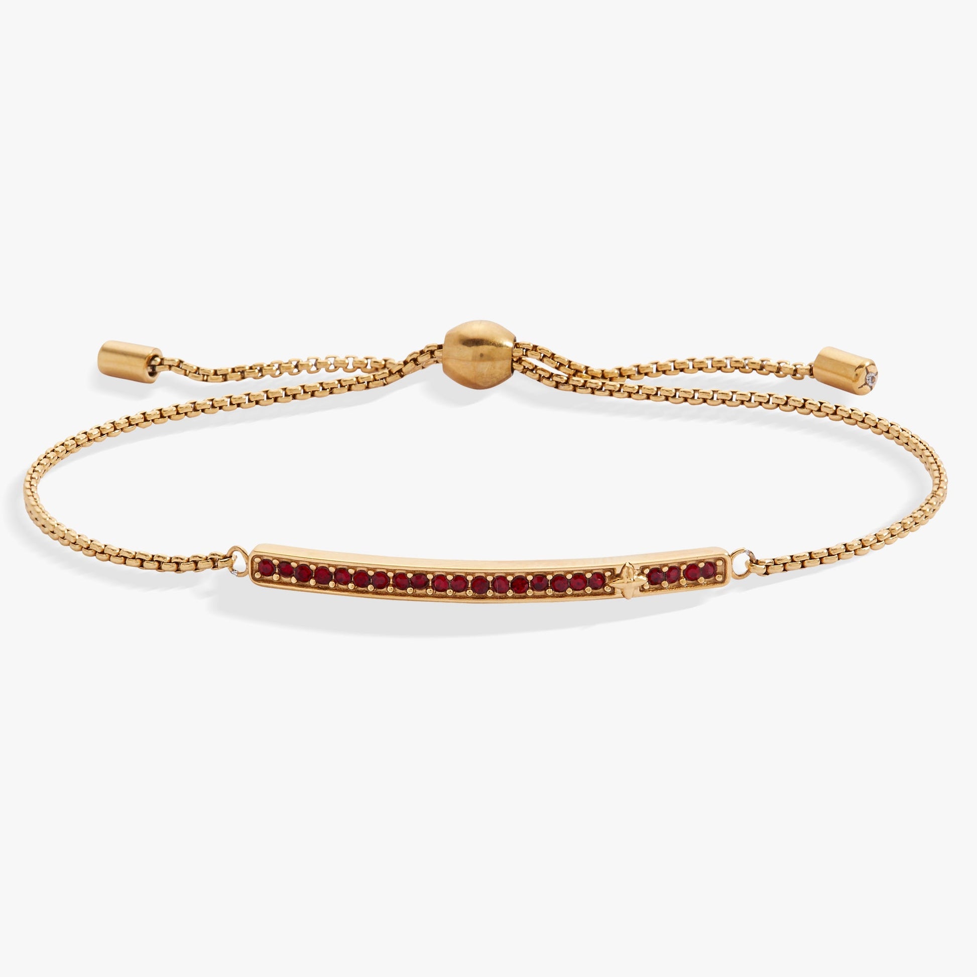 January Everyday Birthstone Pave Bolo Bracelet ALEX AND ANI