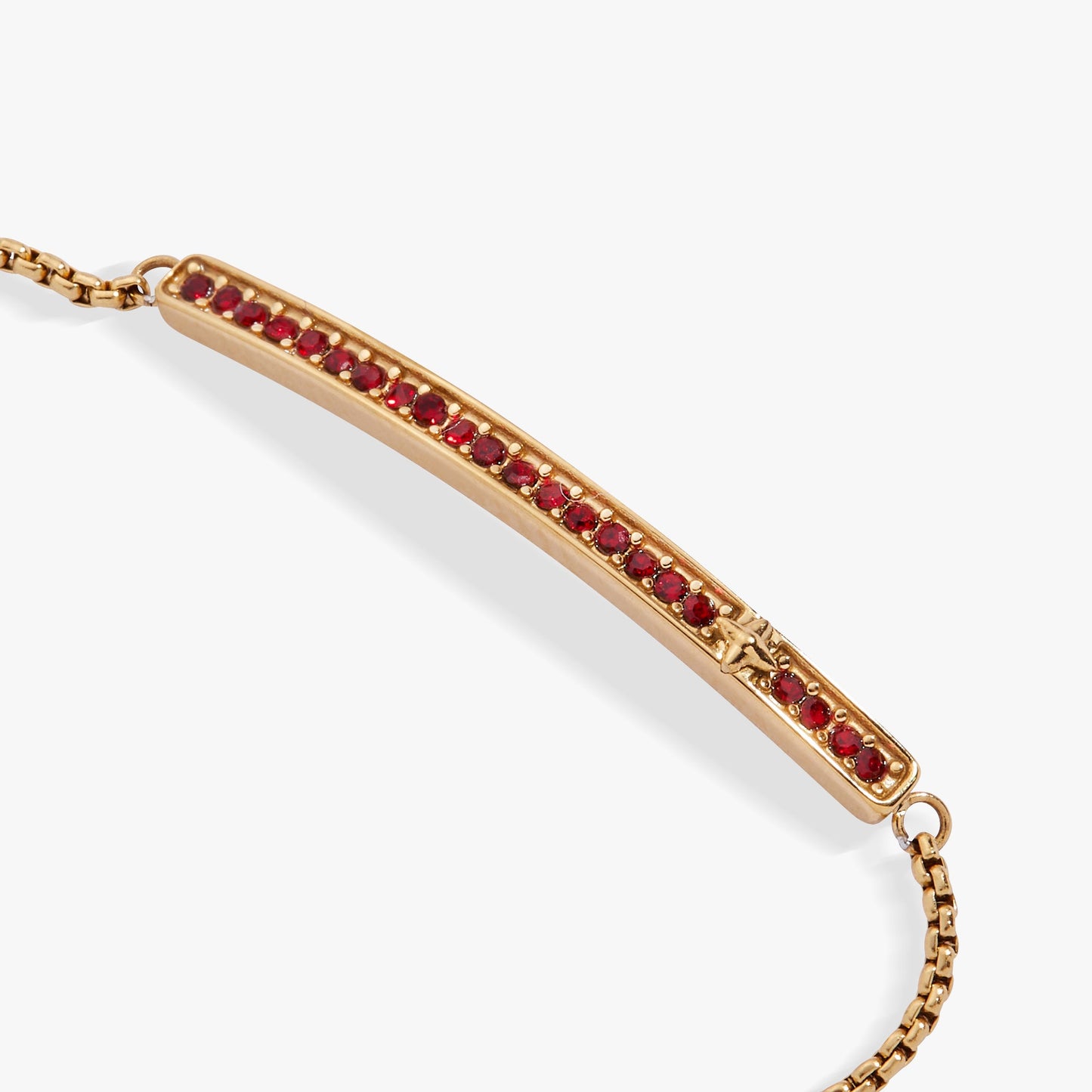 January Everyday Birthstone Pave Bolo Bracelet ALEX AND ANI