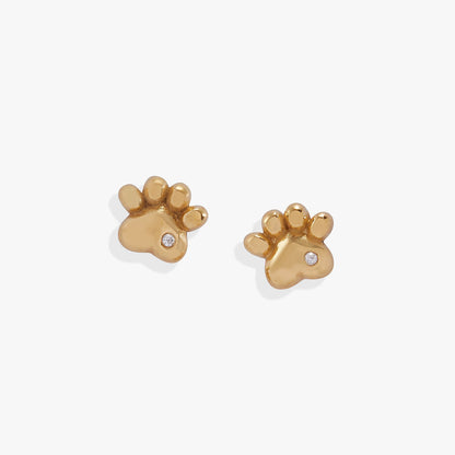 Crystal Paw Mini Stud Earrings ALEX AND ANI