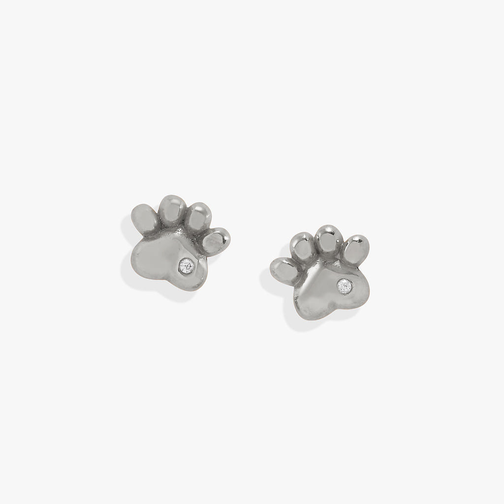 Paw Print Mini Stud Earrings ALEX AND ANI