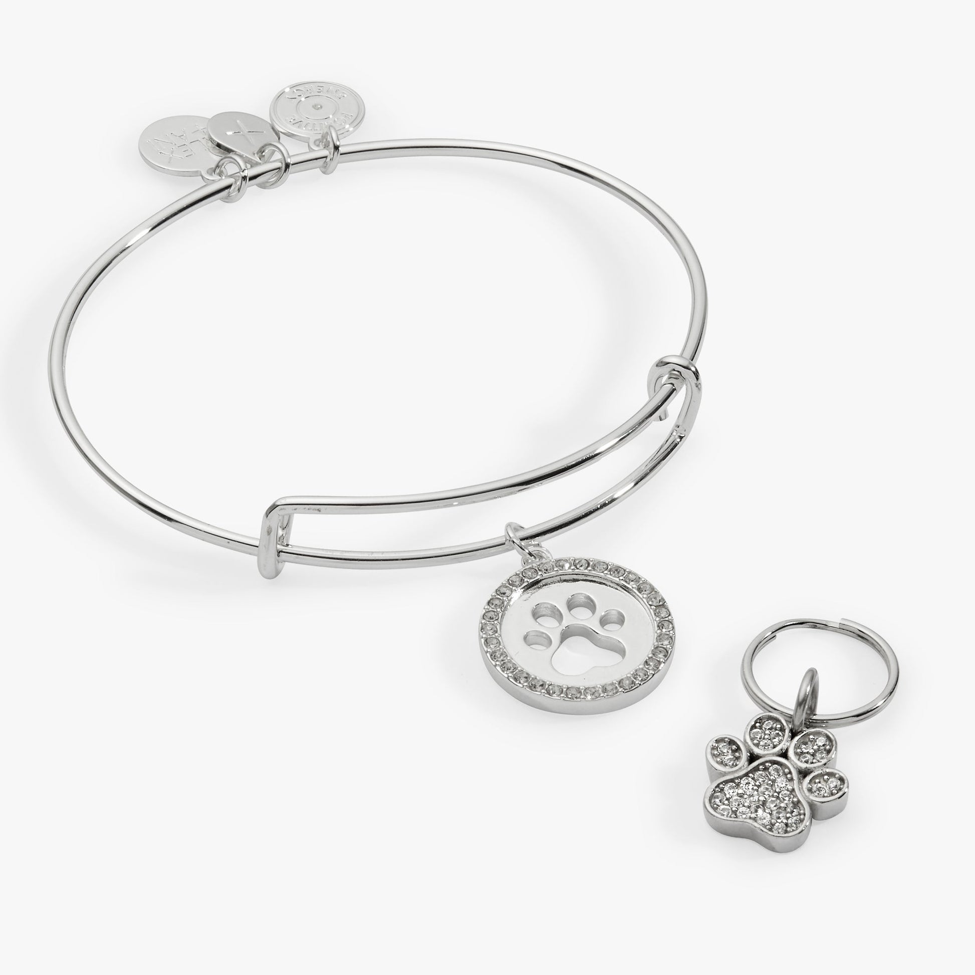 Paw Print Bangle & Pet Collar Charm Set of 2 ALEX AND ANI