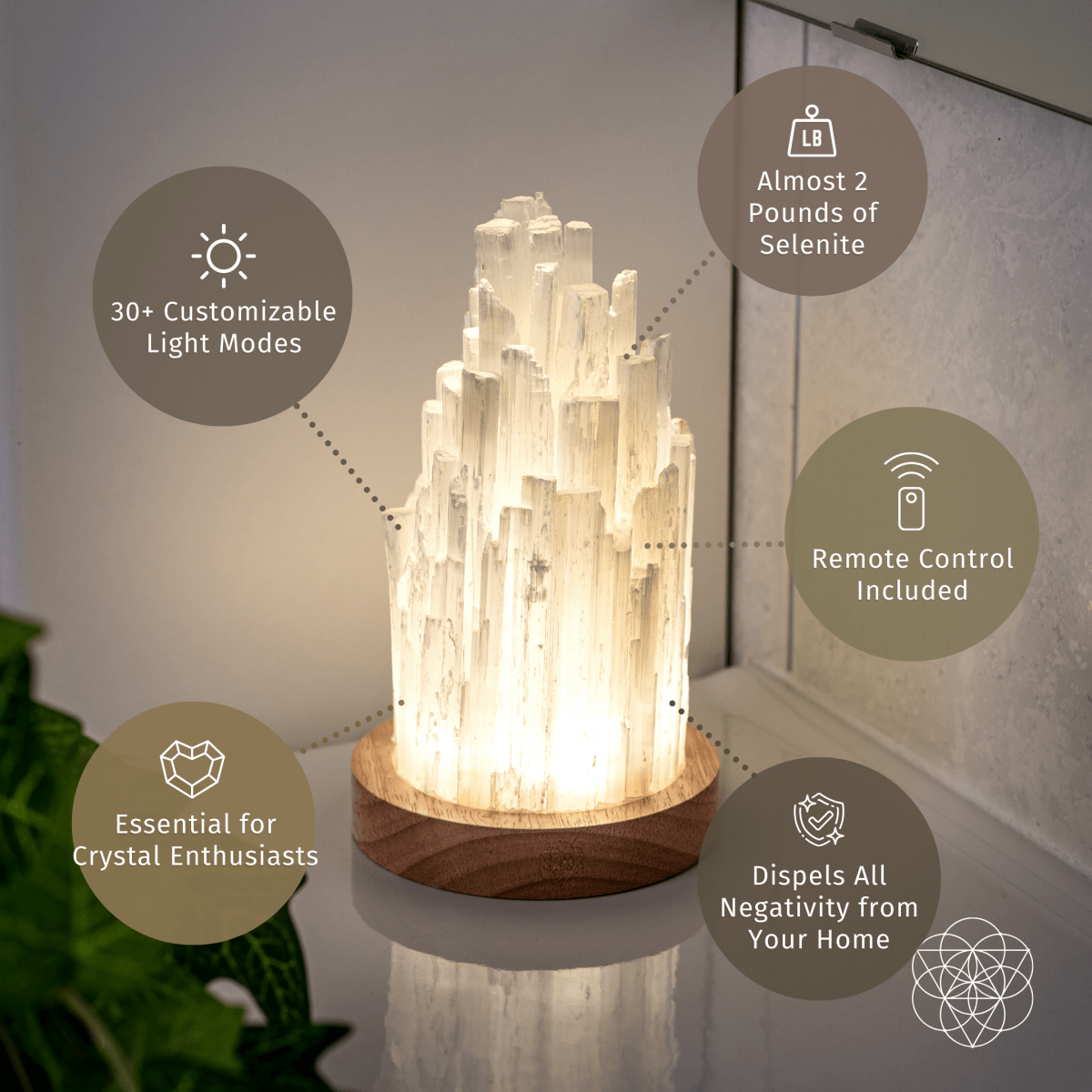 Peace & Purification Duo Conscious Items