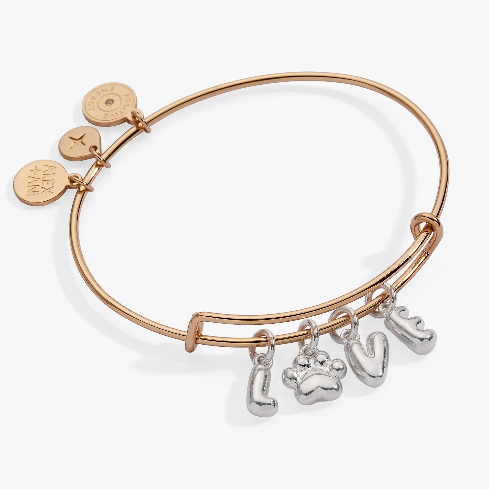 Pet Love Multi Charm Bangle ALEX AND ANI