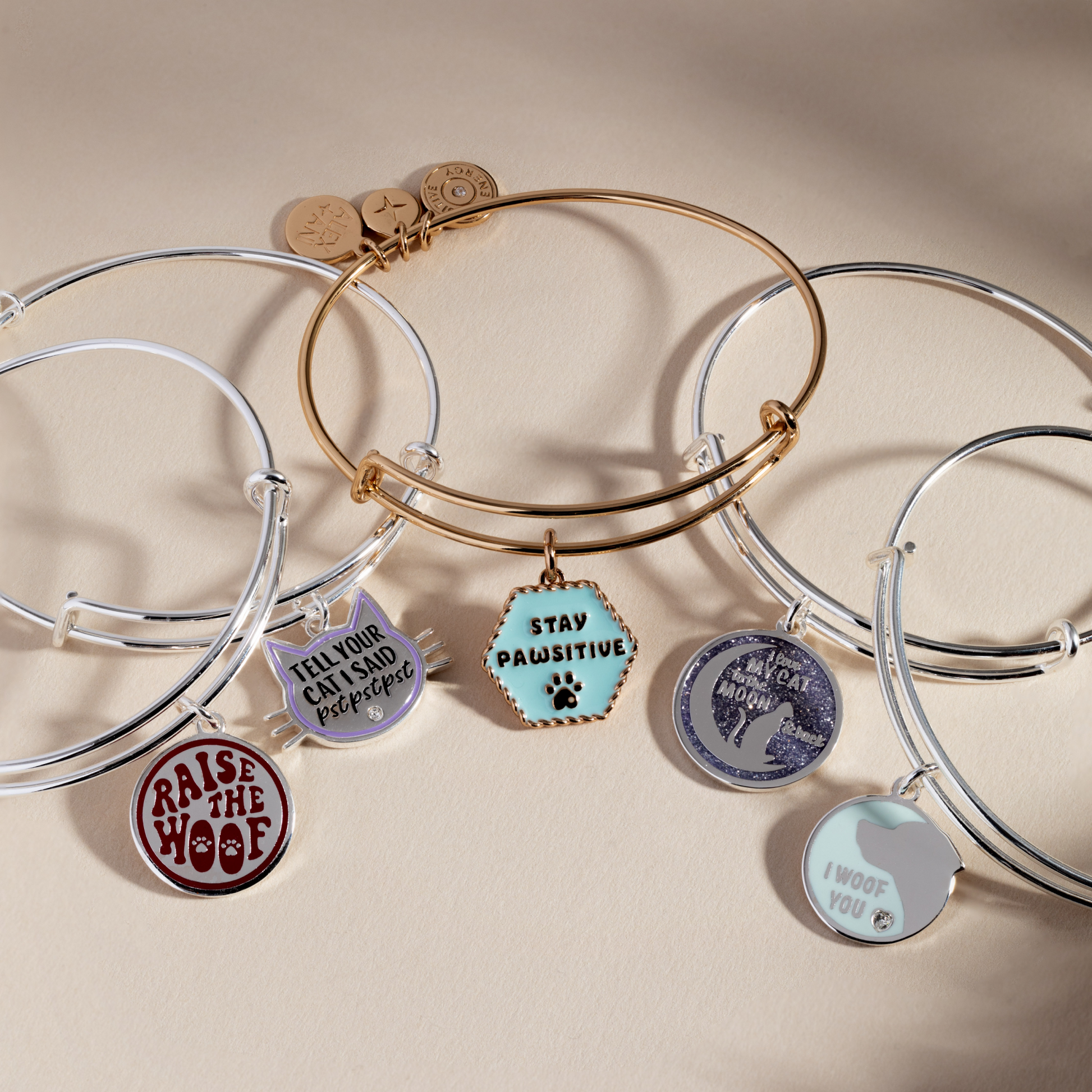'Love My Cat to the Moon and Back' Bangle ALEX AND ANI