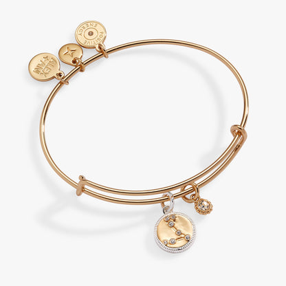 Pisces Zodiac Charm Bangle ALEX AND ANI