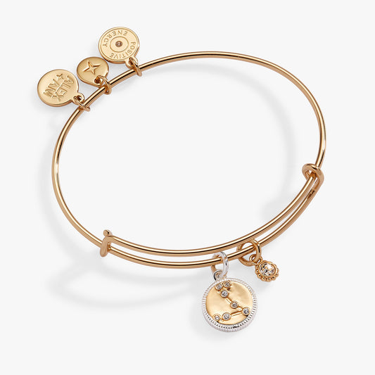 Pisces Zodiac Charm Bangle ALEX AND ANI