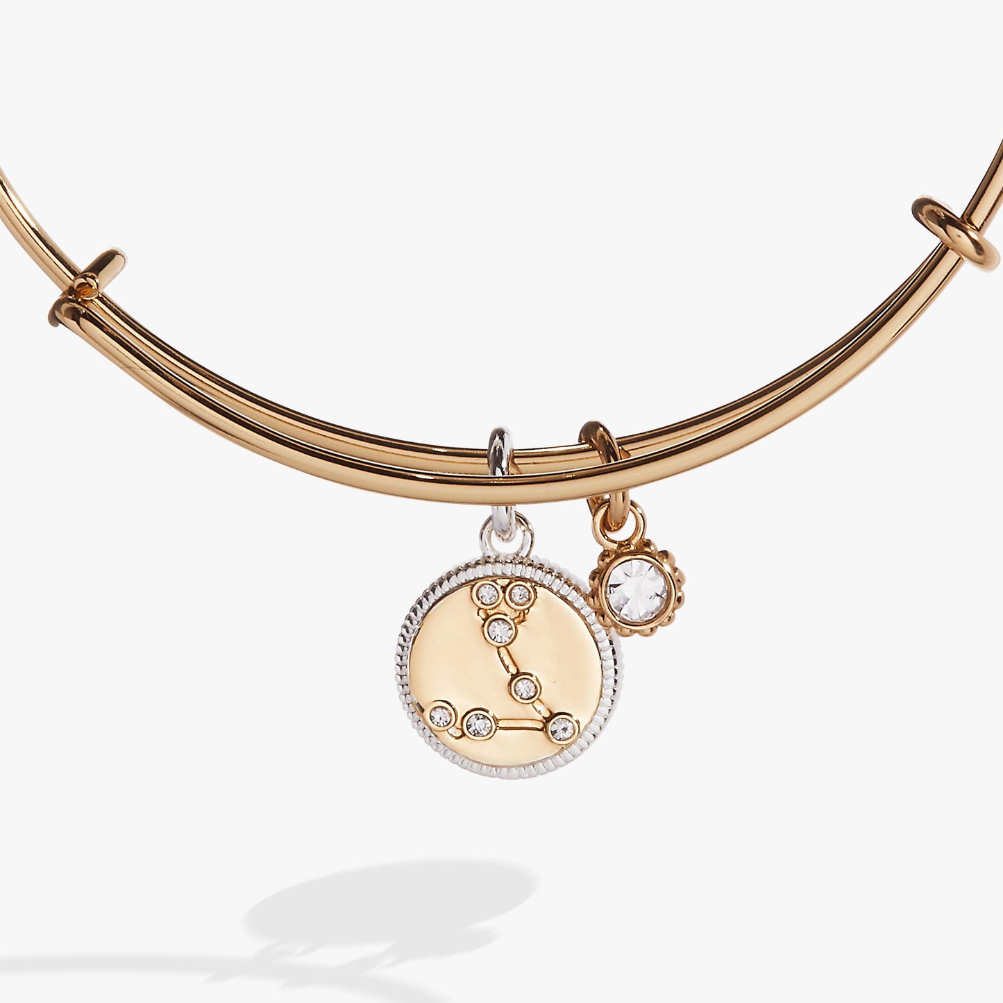 Pisces Zodiac Charm Bangle ALEX AND ANI