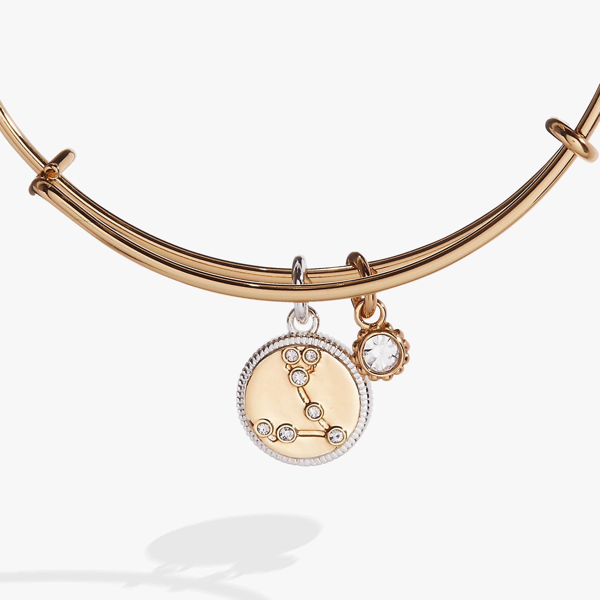 Pisces Zodiac Charm Bangle ALEX AND ANI