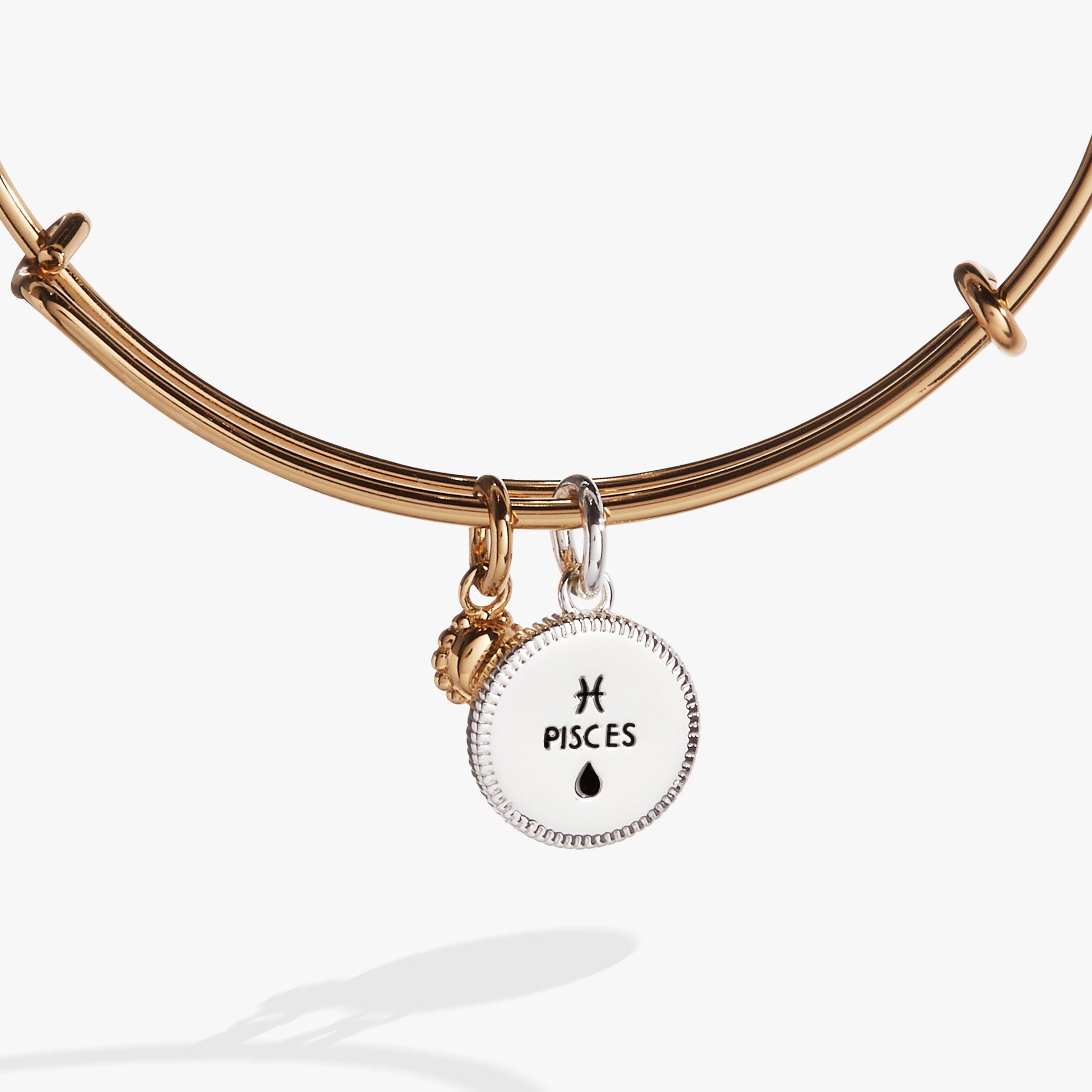 Pisces Zodiac Charm Bangle ALEX AND ANI