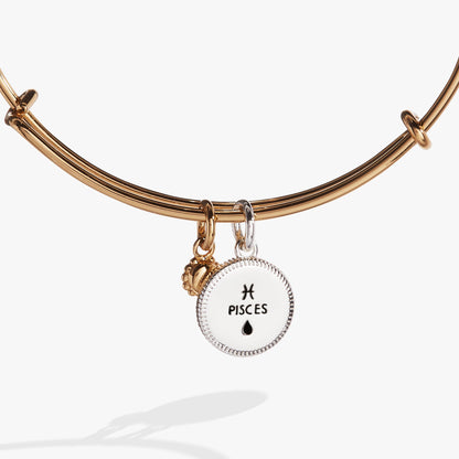Pisces Zodiac Charm Bangle ALEX AND ANI
