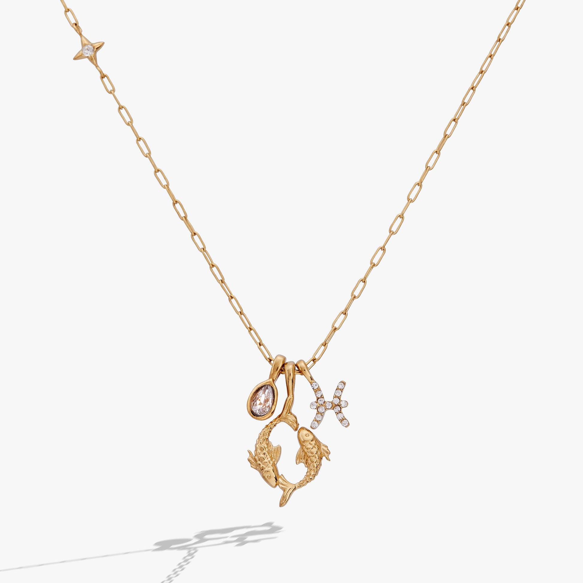 Pisces Zodiac Charm Cluster Necklace ALEX AND ANI