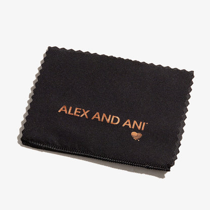 Jewelry Polishing Cloth ALEX AND ANI