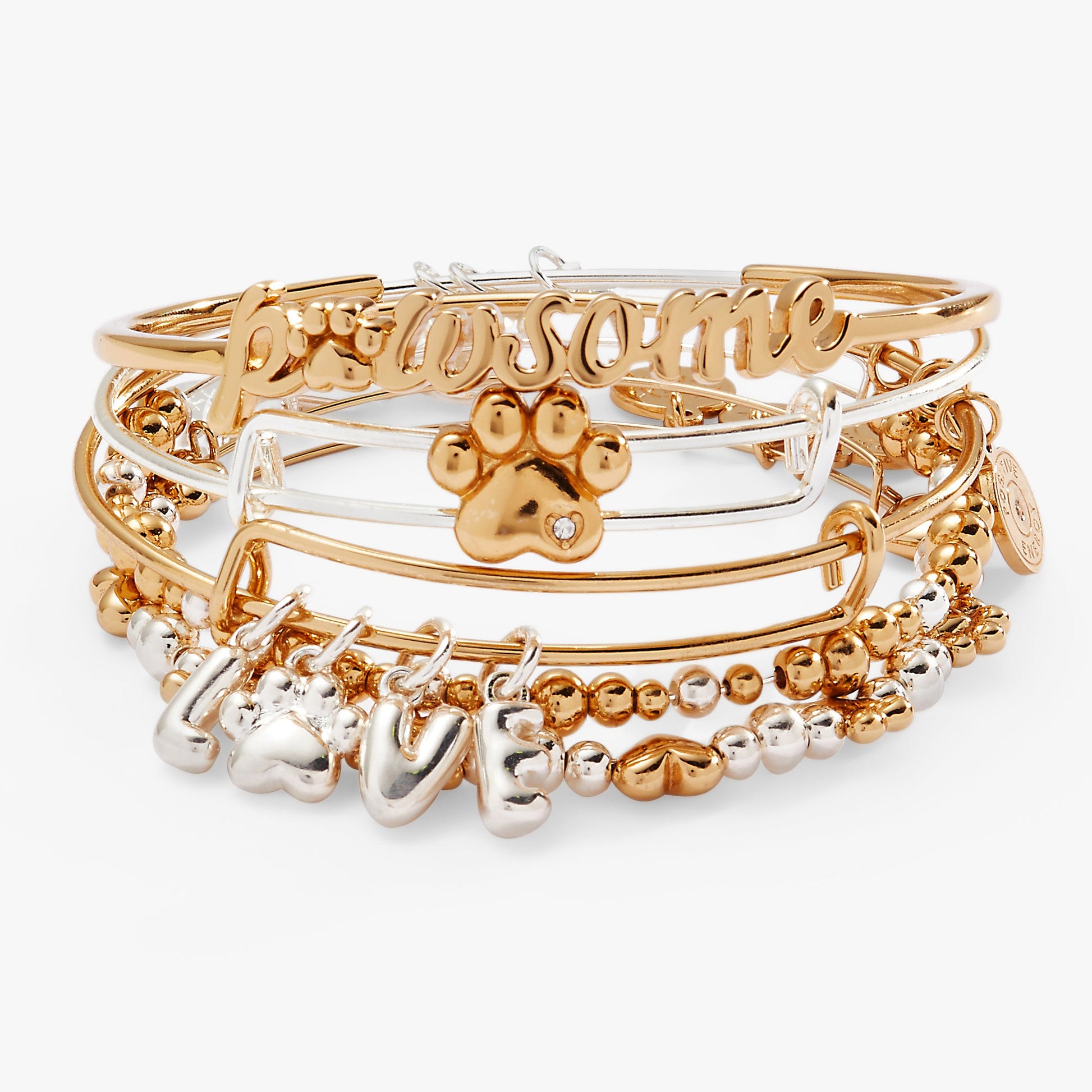 Puppy Love Bangles Set of 5 ALEX AND ANI