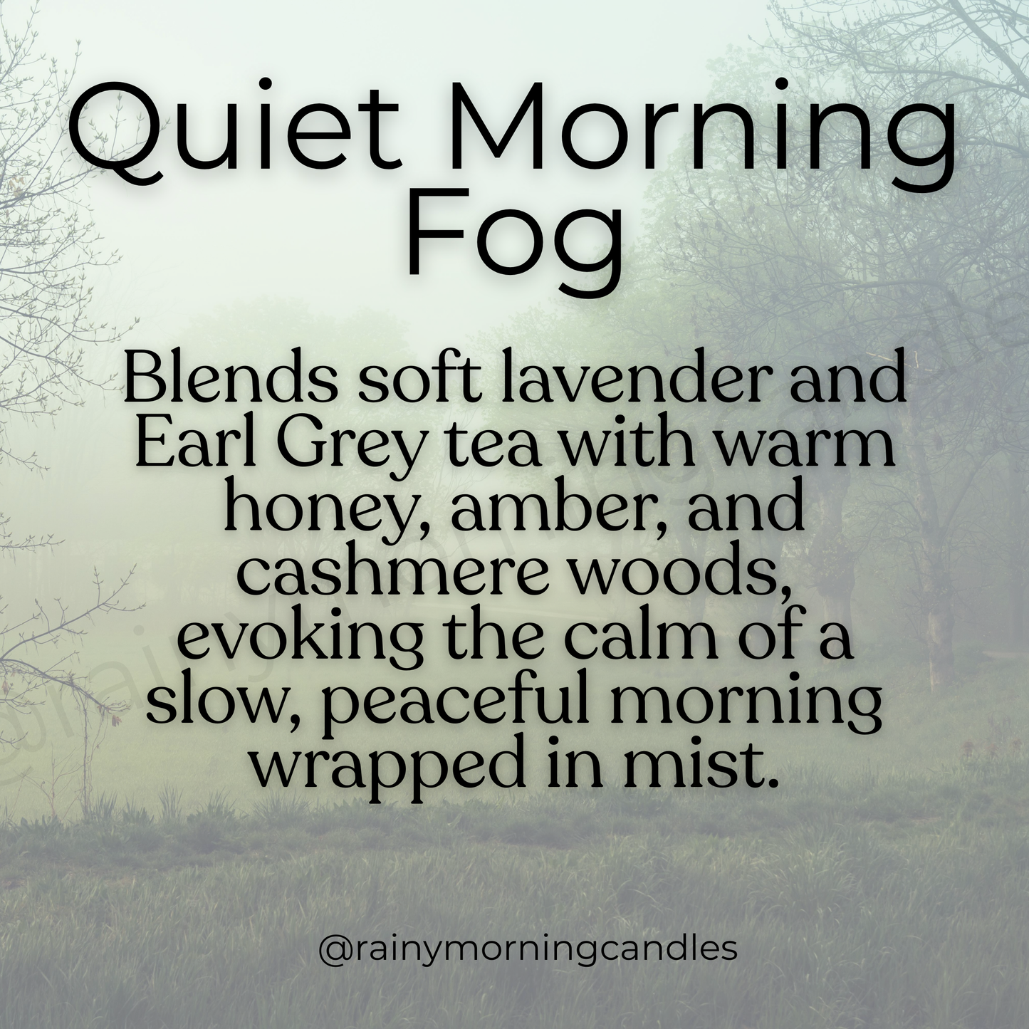 Quiet Morning Fog | Honey Lavender Tea | Wax Melts Rainy Morning Candles