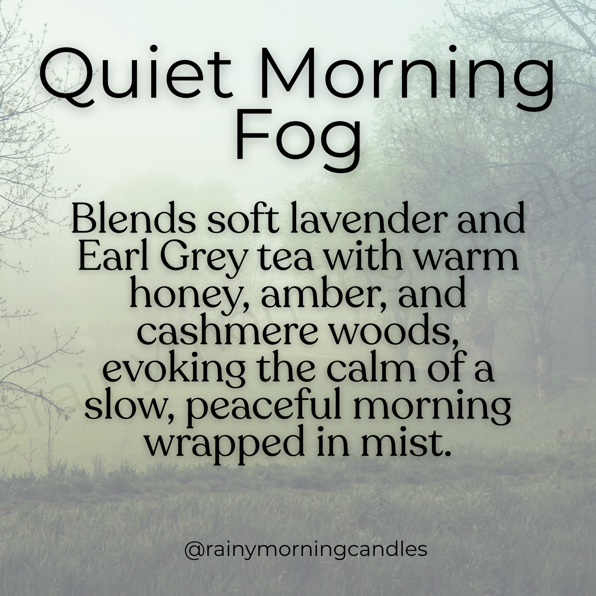 Quiet Morning Fog | Honey Lavender Tea | Wax Melts Rainy Morning Candles