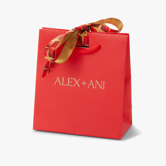 Red Gift Bag ALEX AND ANI