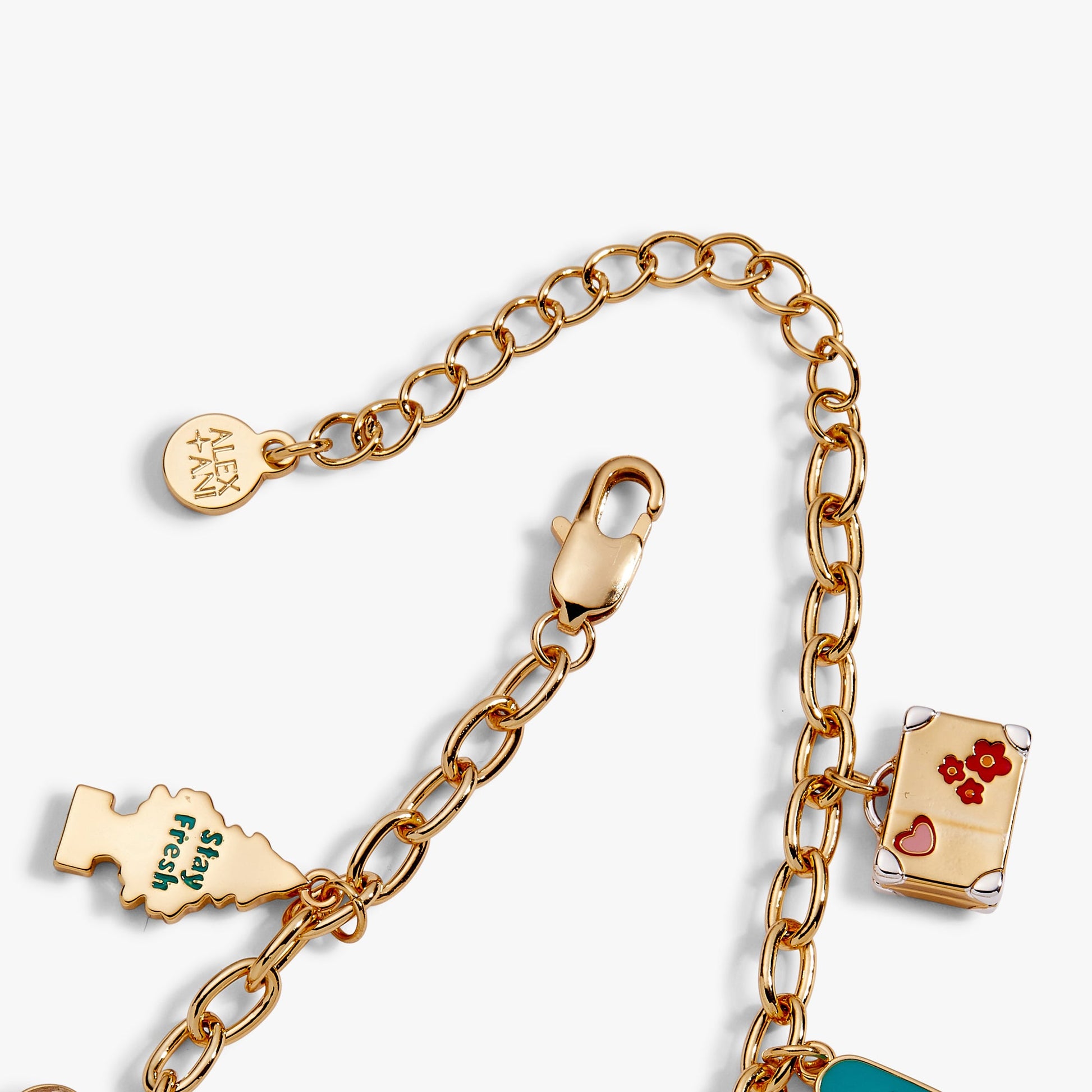 Road Trip Multi-Charm Bracelet ALEX AND ANI