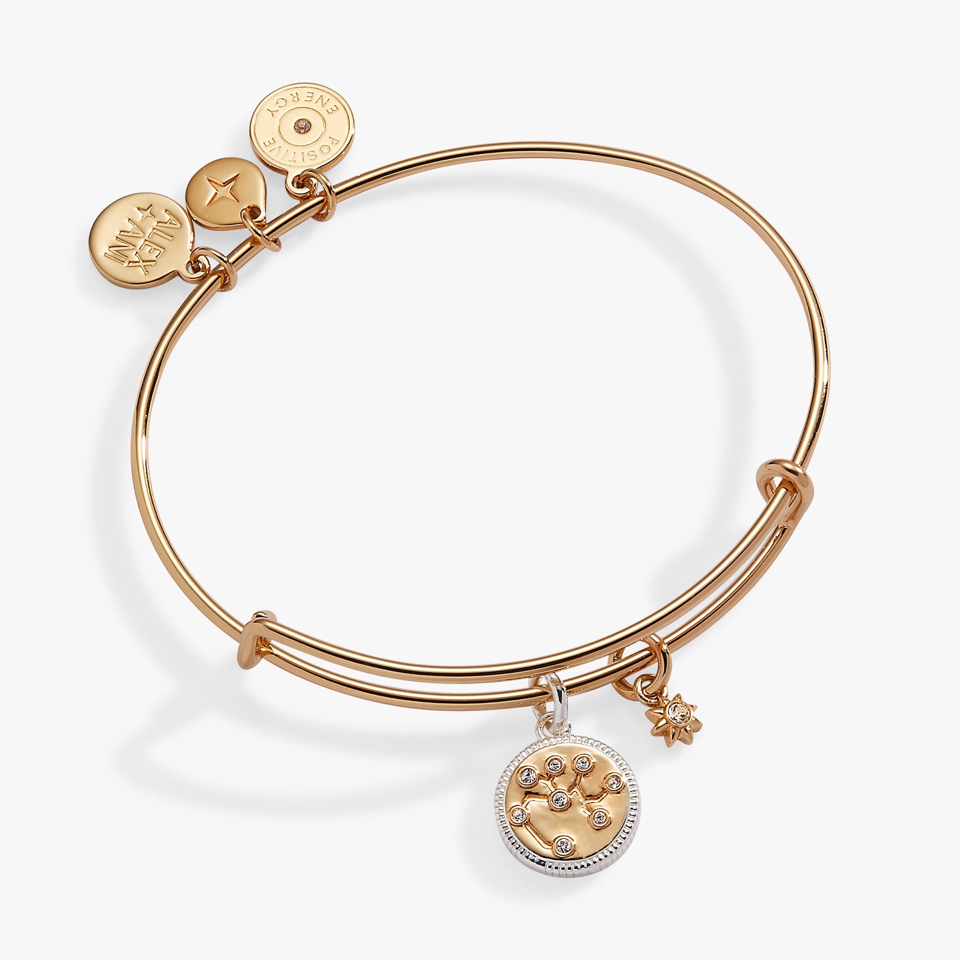 Sagittarius Zodiac Charm Bangle ALEX AND ANI