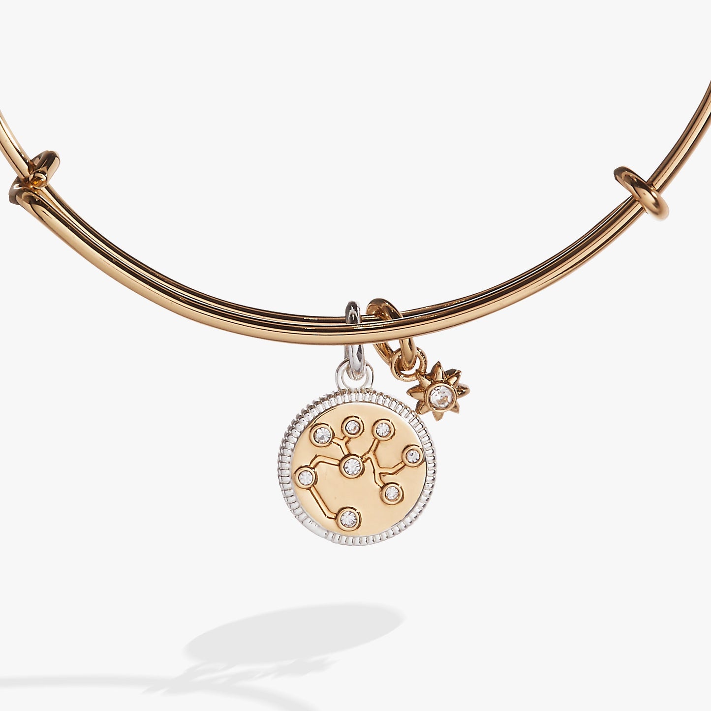 Sagittarius Zodiac Charm Bangle ALEX AND ANI