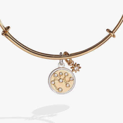 Sagittarius Zodiac Charm Bangle ALEX AND ANI