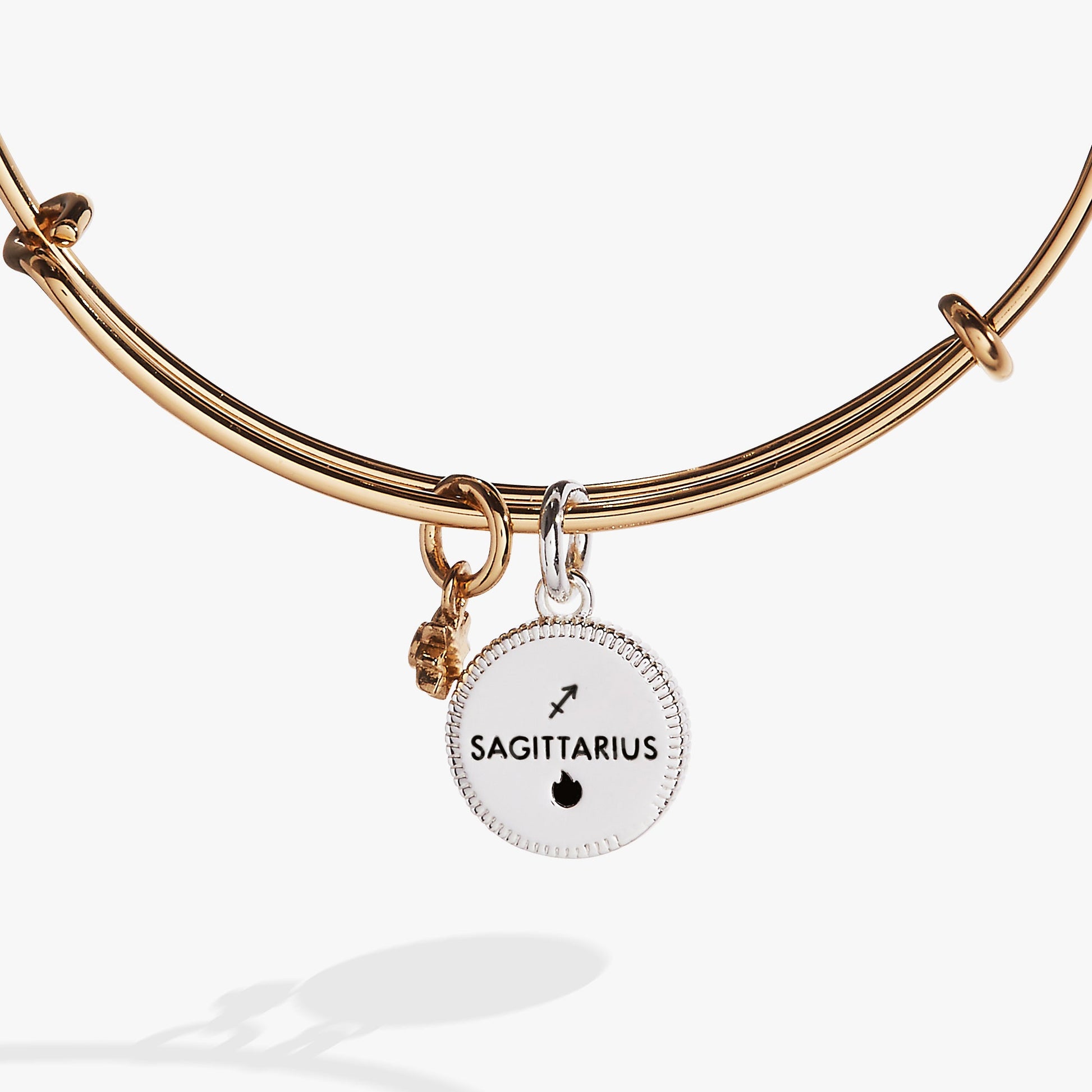 Sagittarius Zodiac Charm Bangle ALEX AND ANI