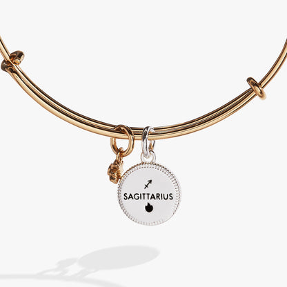 Sagittarius Zodiac Charm Bangle ALEX AND ANI