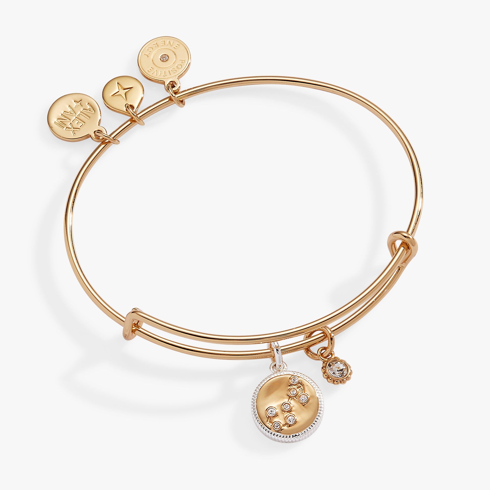 Scorpio Zodiac Charm Bangle ALEX AND ANI