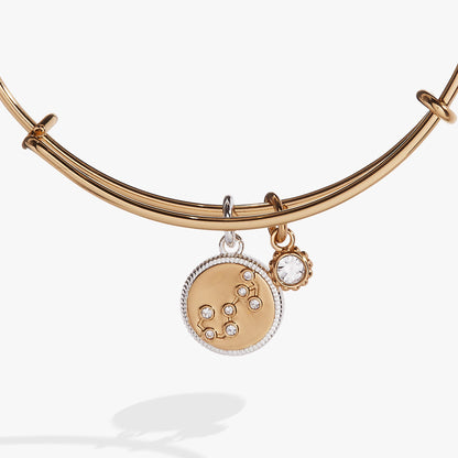 Scorpio Zodiac Charm Bangle ALEX AND ANI